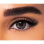 FreshLook One Day Gray Lenses