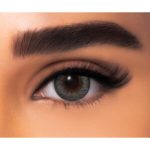 FreshLook One Day Mystic Gray Lenses